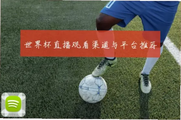 世界杯在哪里看免费直播？可靠渠道推荐